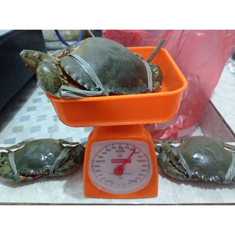 

Kepiting Besar 1Kg