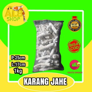  Karang  jahe  filter kolam aquarium  ikan koi Shopee Indonesia