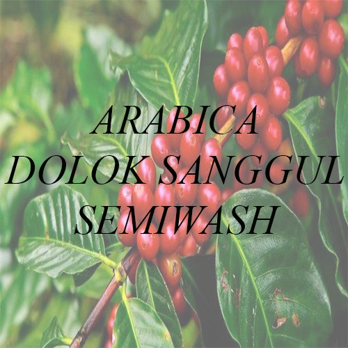 

[Green Bean] Arabika Dolok Sanggul Semiwash