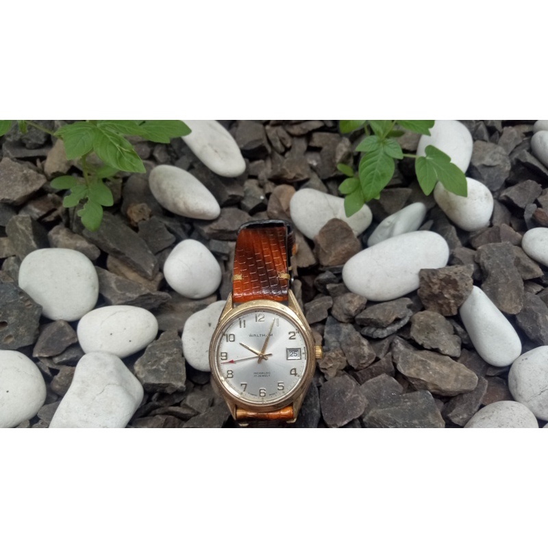 Jam Tangan Waltham