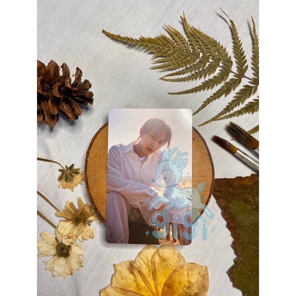 PC Photocard Sunoo Enhypen BDC DD Bene Weverse WV Lenti Down