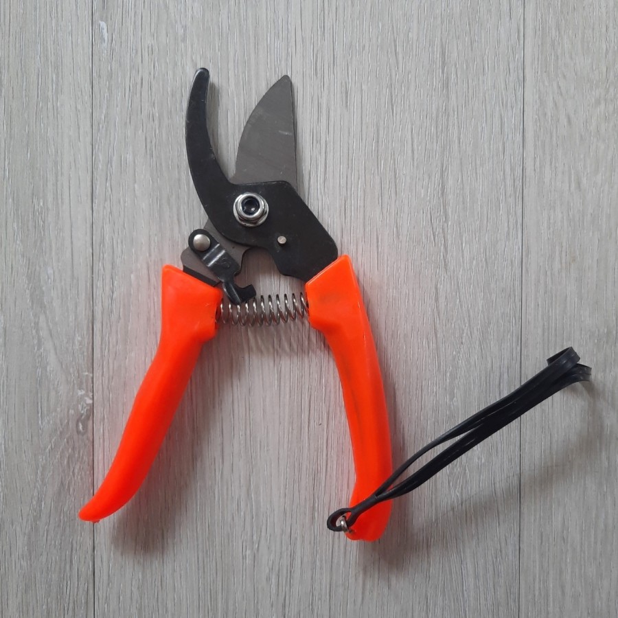 Gunting dahan gunting ranting pruning bonsai model shears