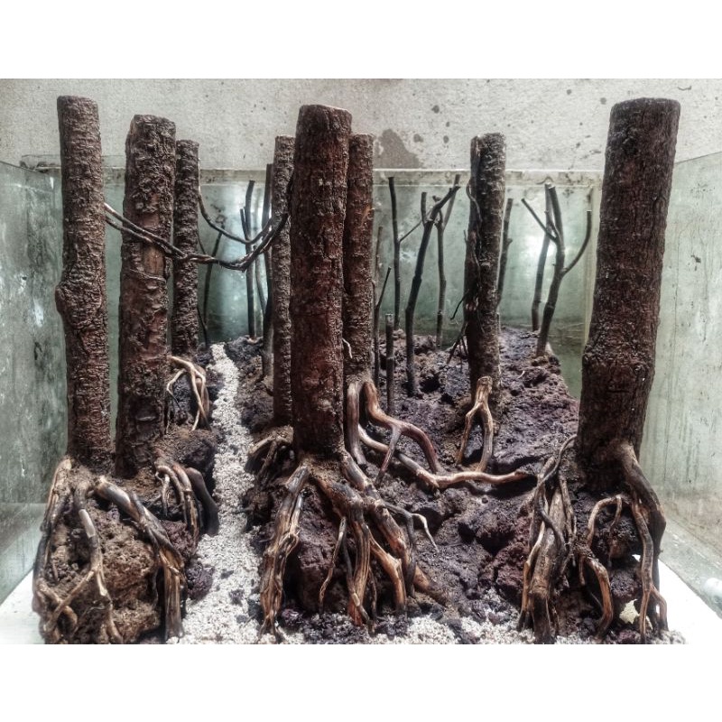 hardscape pesanan jungle