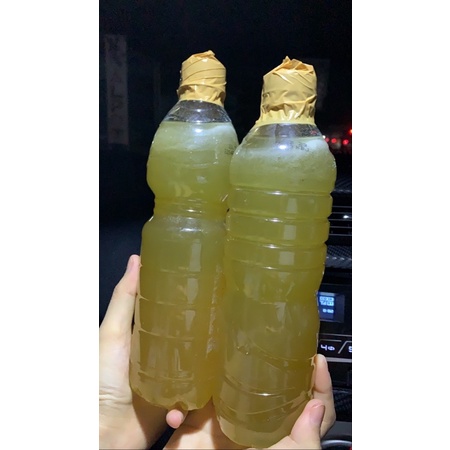 

Madu Hutan Asli dari Padang Lawas Utara