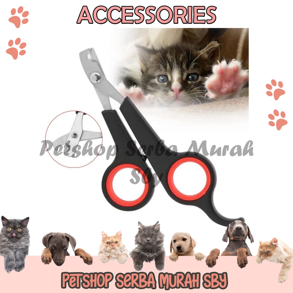 Gunting Kuku Kucing Dan Anjing - Grooming Hewan Peliharaan