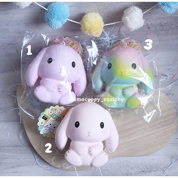 Amuse bunny squishy best sale