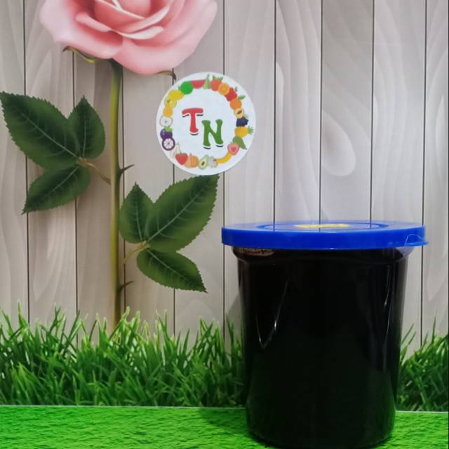 

Petis udang Singkawang