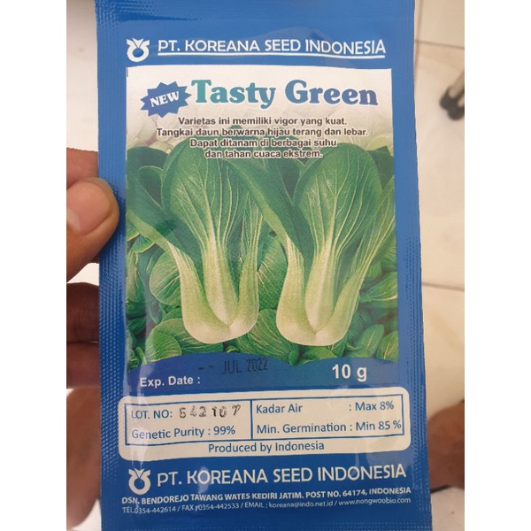 benih sawi daging Tasty Green pakcoy sawi
