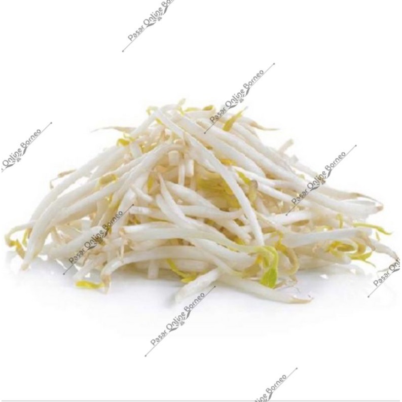 

Sayur Segar Toge 250 Gram