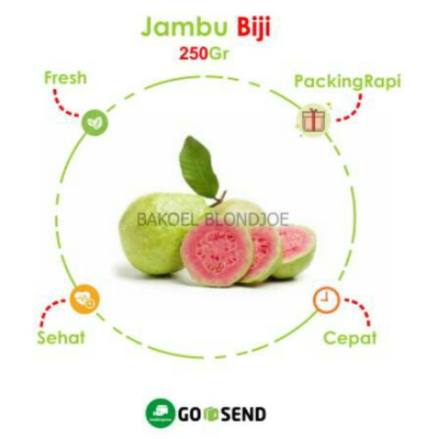 

JAMBU BIJI MERAH 1KG / GUAVA / REED SEED JAMBU / FRESH FRUIT / FRUIT / BUAH BUAHAN SEGAR MURAH