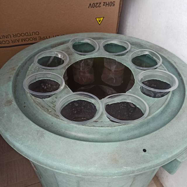 Paket BUDIKDAMBER Lele Biasa