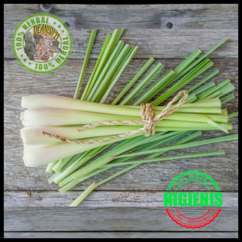 

Sereh besar-Serai wangi Segar/Fresh/besar/jumbo 1kg