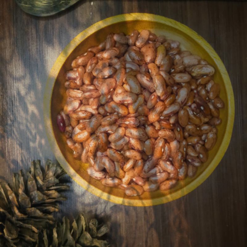 

kacang merah kering