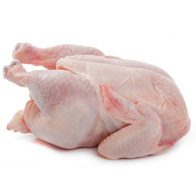 

DAGING AYAM SEGAR 1KG