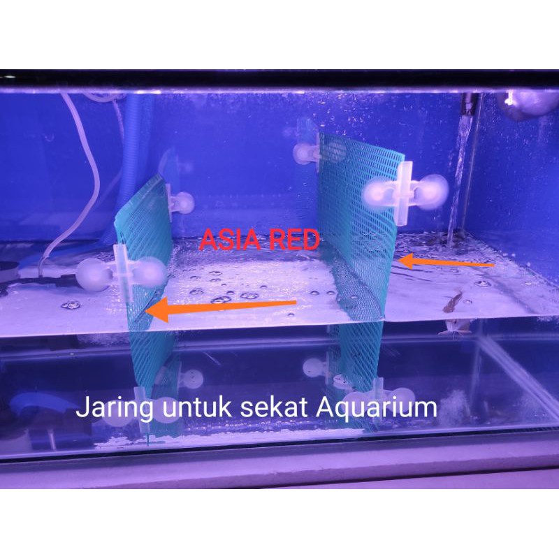 jaring sekat aquarium, jaring ikan discus, cupang/jaring serbaguna/kandang hewan/tutup aquarium