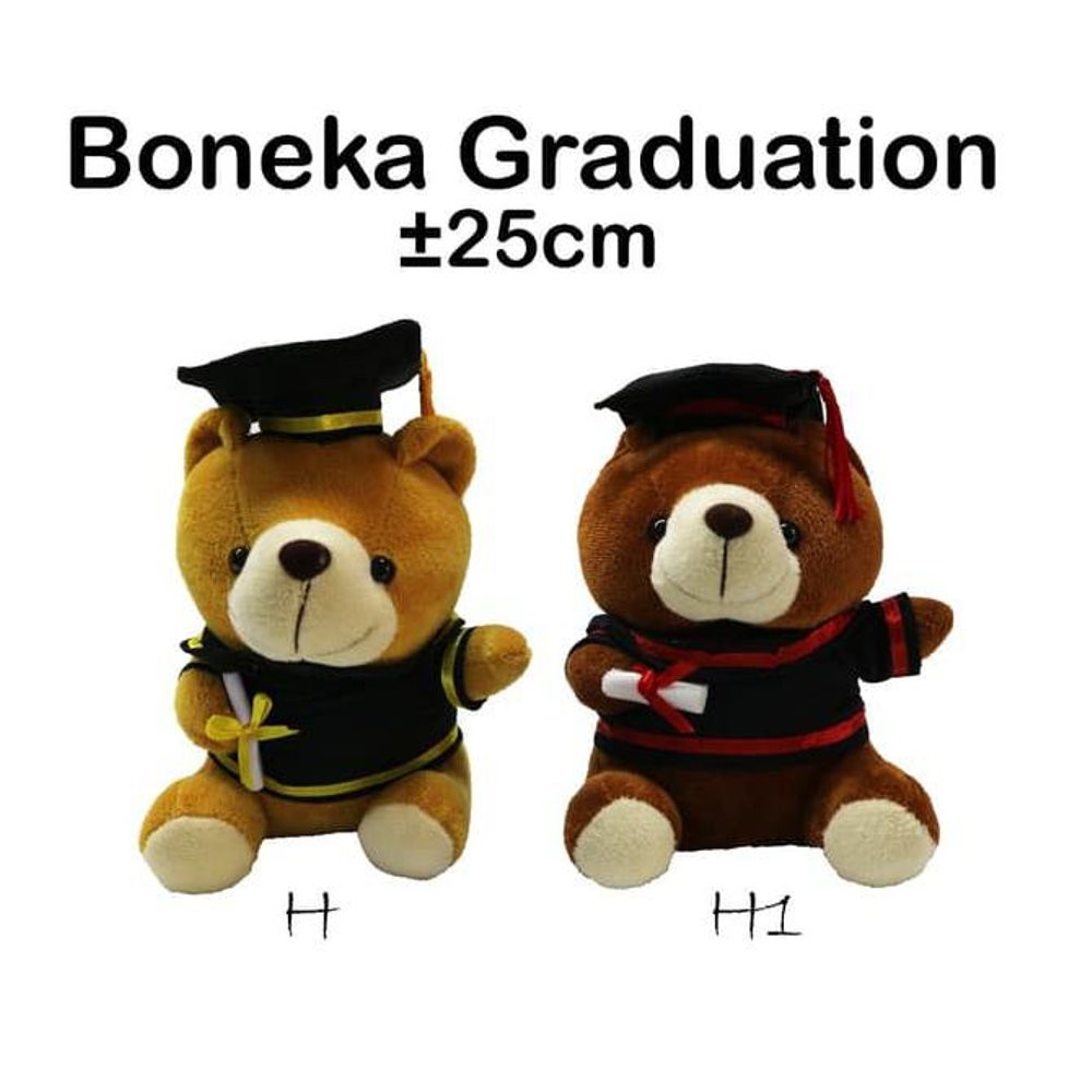 Unik Buket Boneka Beruang Teddy Bear Kado Hadiah Ultah Anniv Wisuda