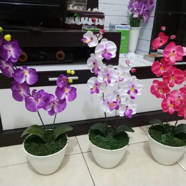 Bunga Plastik Anggrek Plastik Bunga Murah Bunga Anggrek Anggrek Palsu Bunga Palsu Shopee Indonesia