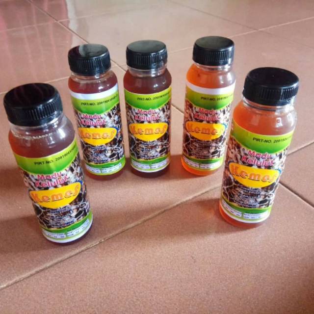 

Madu kelulut ternak bangka