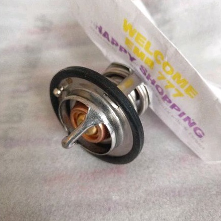 THERMOSTAT BMW X5 E70 X6 E71 E72