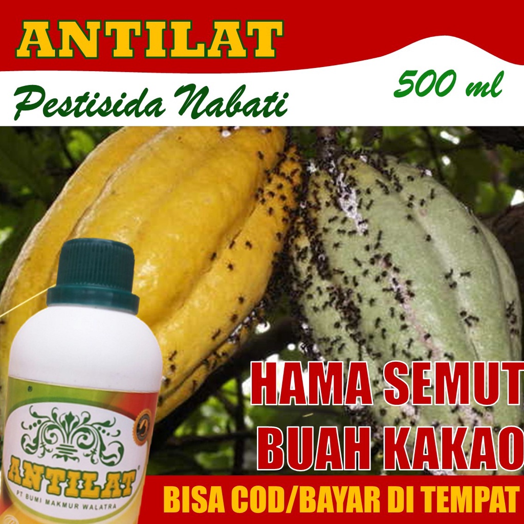 PROMO ANTILAT Obat Hama Semut Buah Kakao/Biji Coklat dan Semua Jenis Tanaman - Obat Hama Semut Hitam