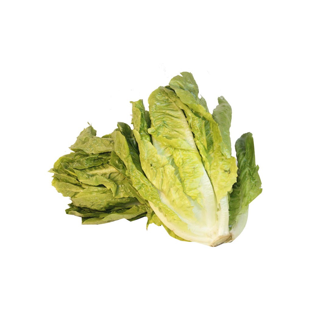 

ROMANCE LETTUCE (PACK) + / - 400g (8102)