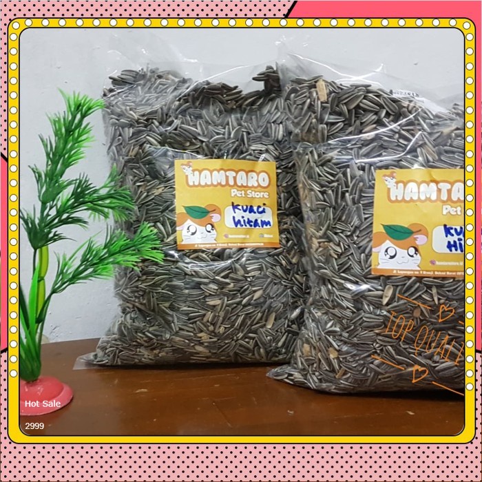 Biji Kuaci 500gr / Biji kwaci / koaci cemilan hamster Kwaci hitam