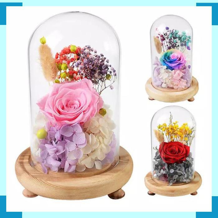 terbaru Beauty and the Beast Mawar dalam Gelas Gift Valentine
