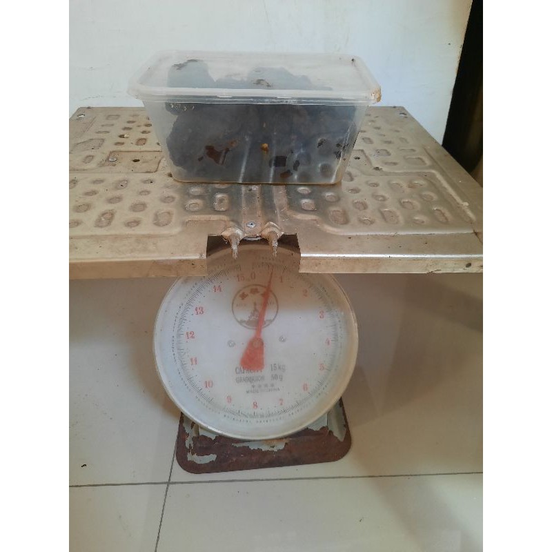 propolis mentah klanceng/trigona