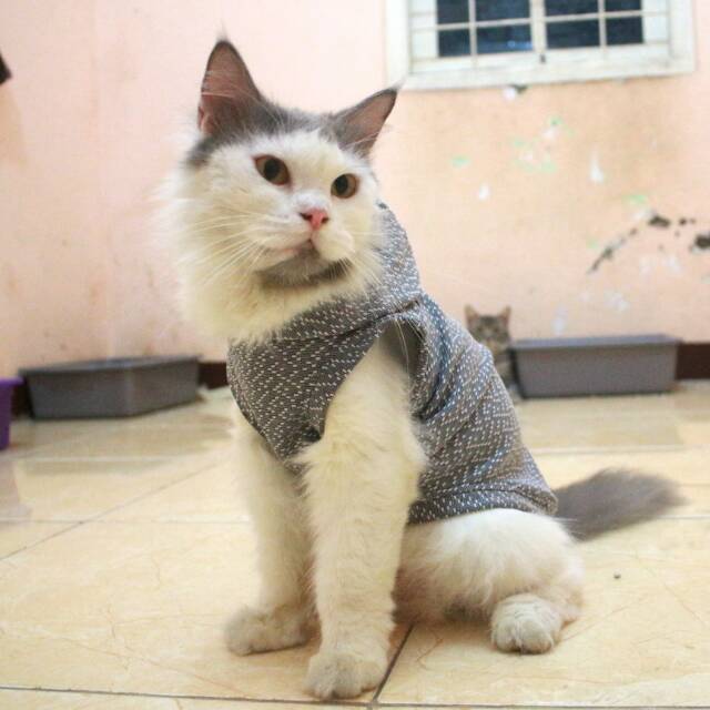 Kaos hoodie abu lucu untuk kucing dan anjing / baju kucing murah terlaris size S M L XL