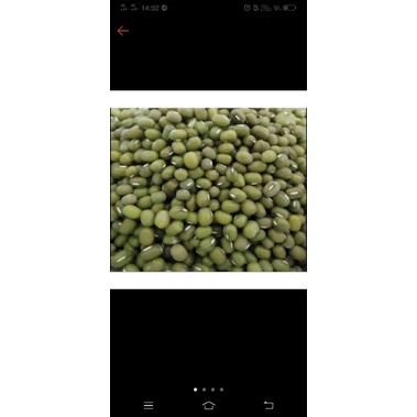 

kacang hijau