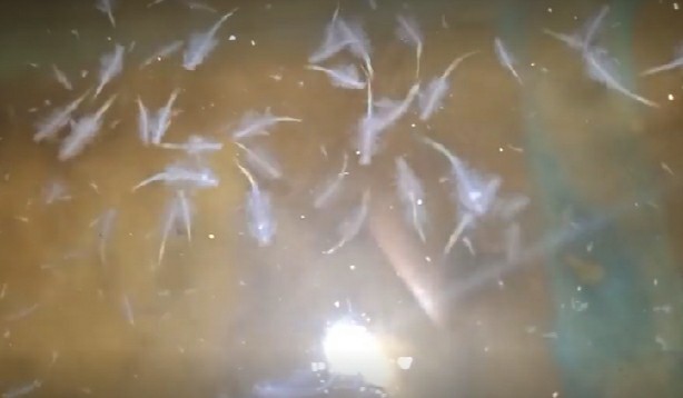 Gamis Rayon Super | Gamis Rayon Candi Mekar | Gamis Cap Malaman | Gamis Batik | Baju Santai |