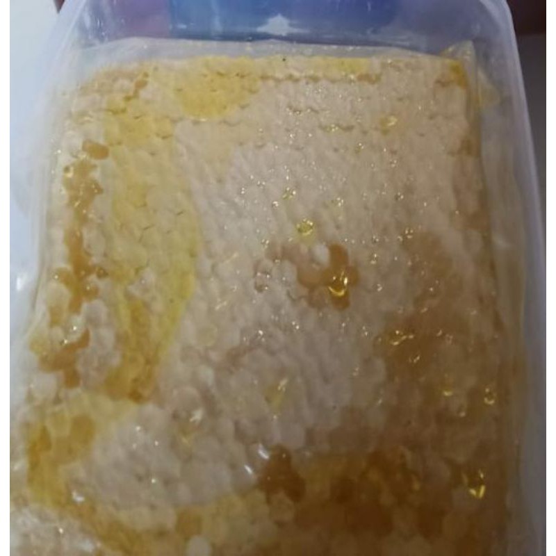 

honey queen SARANG MADU