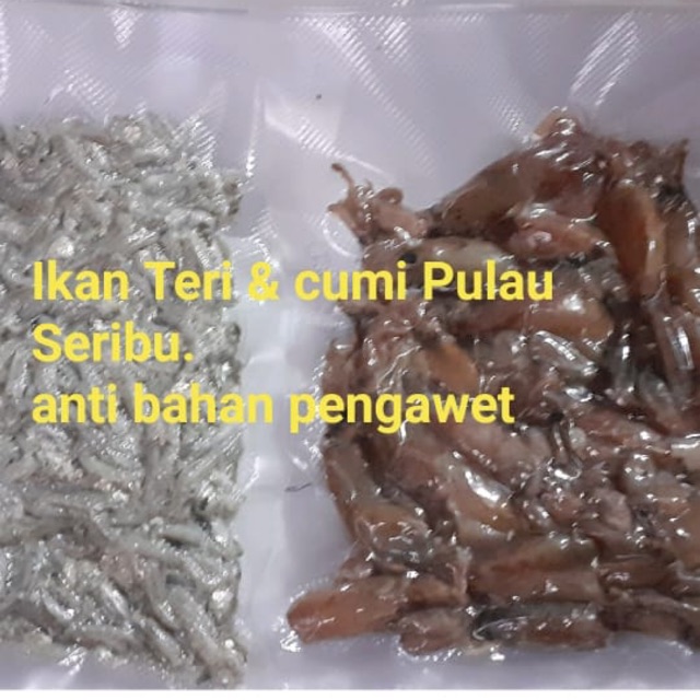 

Ikan teri pulau seribu