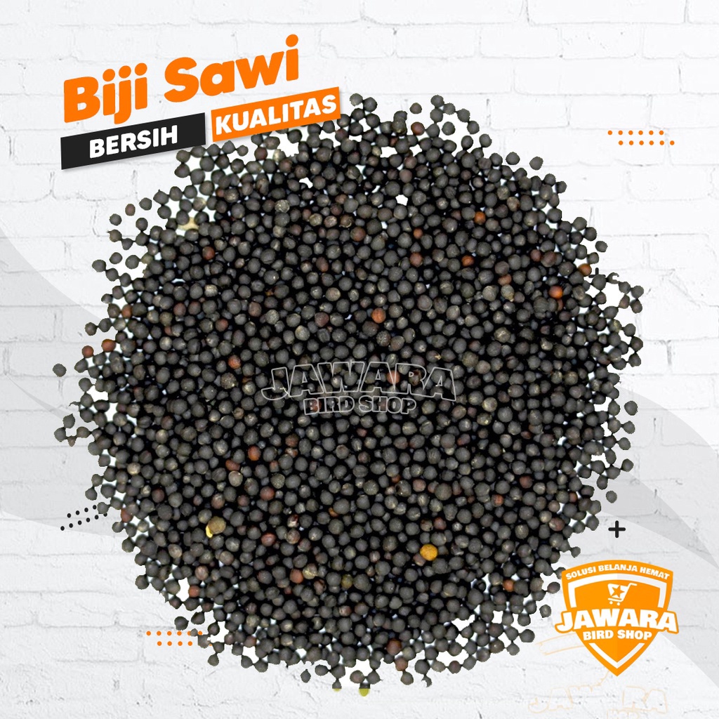 

BIJI SAWI BERSIH 250Gr Kenari Finch Balckthroat Lovebird