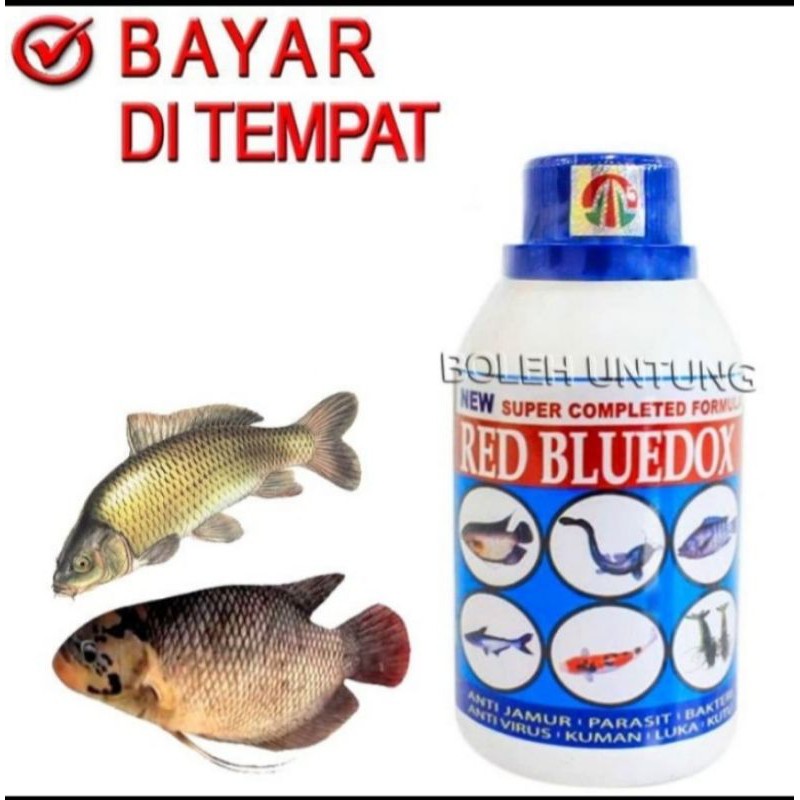 RED BLUEDOX Obat Jamur Ikan Gurame Mas Patin Nila Lele Koi Anti Virus