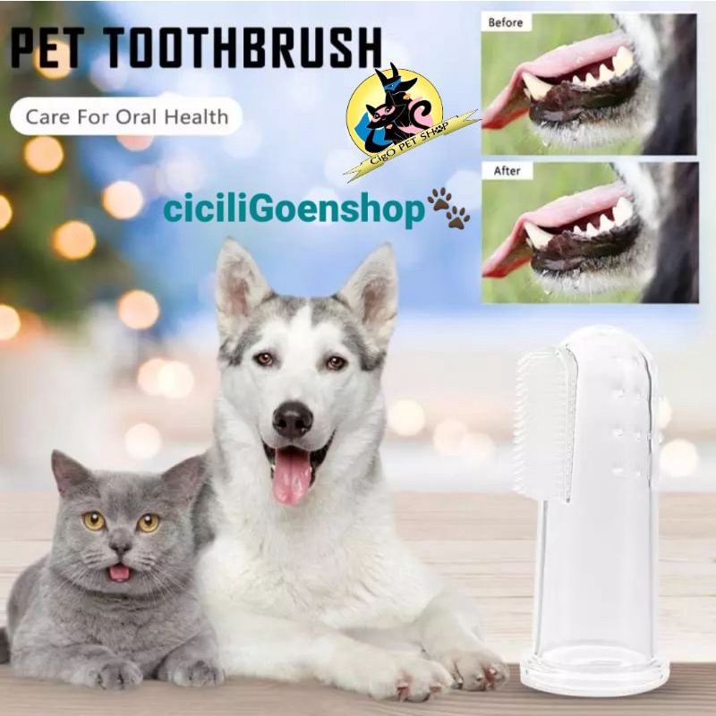 sikat gigi toothbrush bening anjing kucing musang lentur