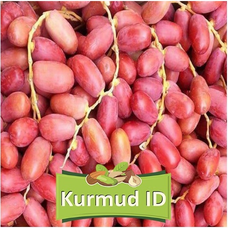 kurma muda promil Kuning Merah 150 gram Kurma Barhee