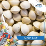 

Ginko Nut Pekko Peko Pekkwe Ginkgo Kwalitas Super Harga Murah 500 Gram