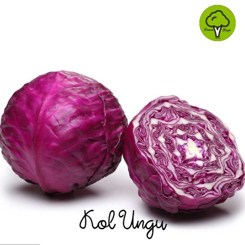 SAYURAN / KOL UNGU [500GR]