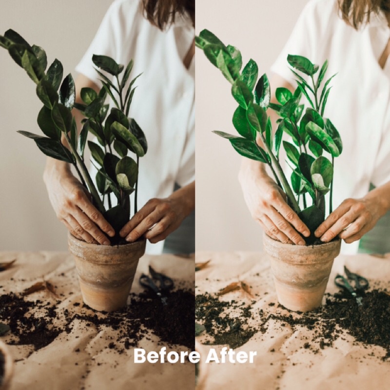 MATCHA TONE PRESET LIGHTROOM (iOS &amp; ANDROID)