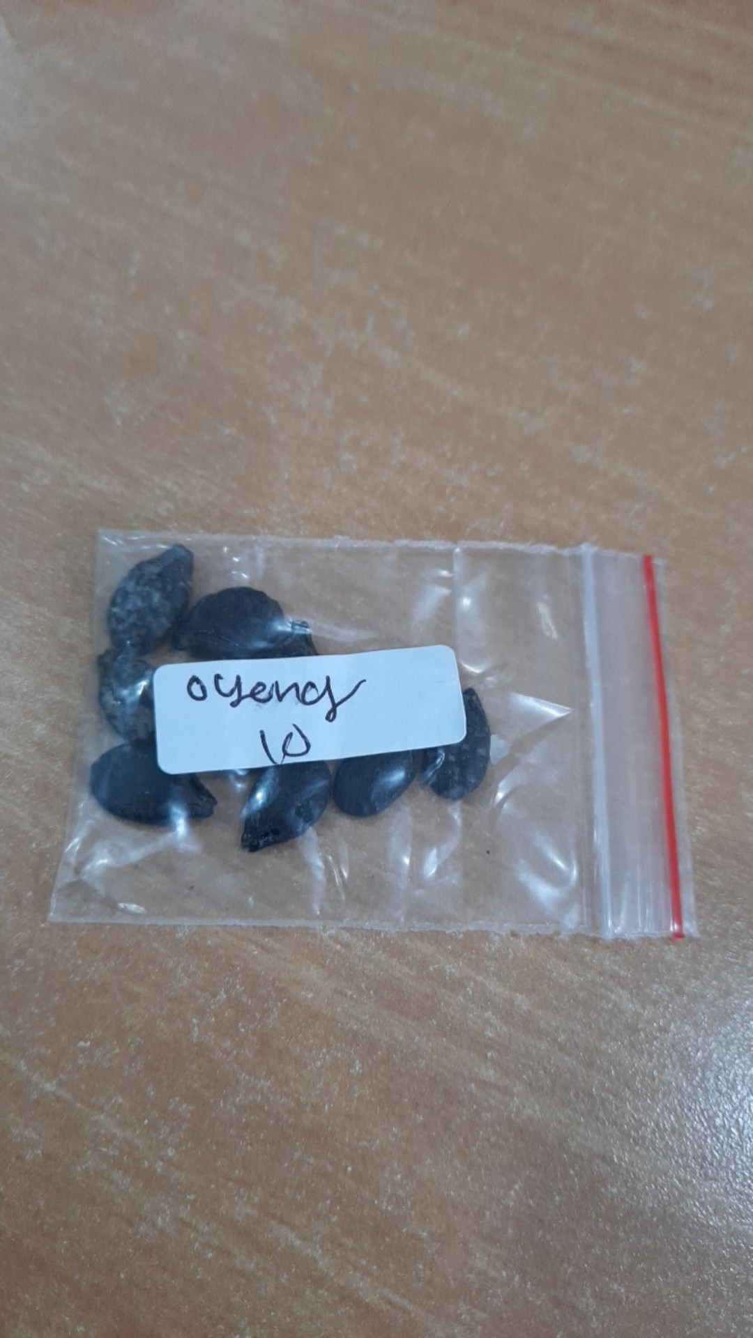 Bibit Benih Biji Sayur Oyong Cocok Untuk Dijadikan Sup - Biji Tanaman Sayur Oyong - Bibit Oyong -cod