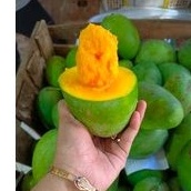 

Mangga Alpukat 1kg