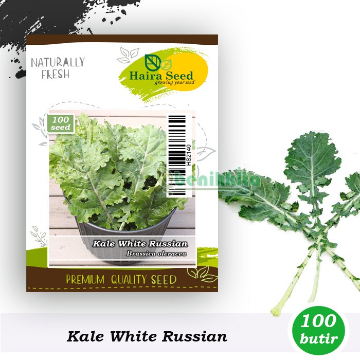 Benih-Bibit Kale White Russian (Haira Seed)