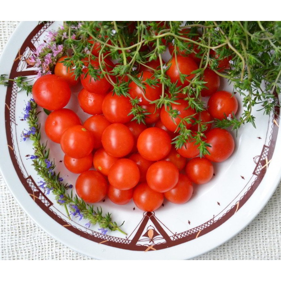 Benih Seribuan - 25 Benih Sayuran Tomat Cherry Merah Mini Chung Unggul