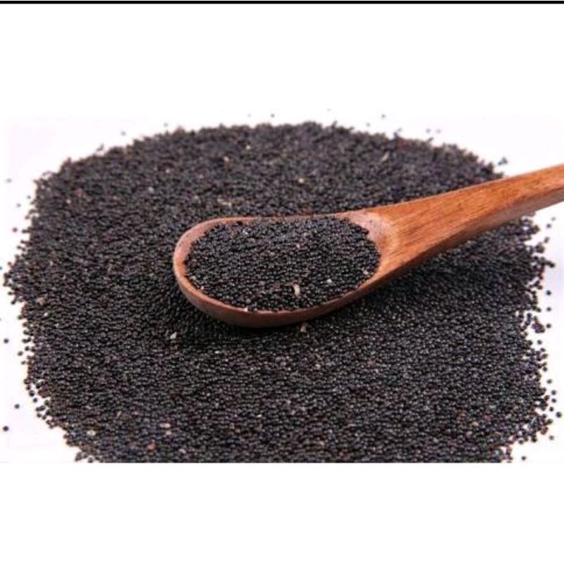 

300 G GR GRAM QING XIANG ZI QING SHUANG ZI 青箱子 青双子 SEMEN CELOSIAE FEATHER COCKSCOMB SEED SEEDS