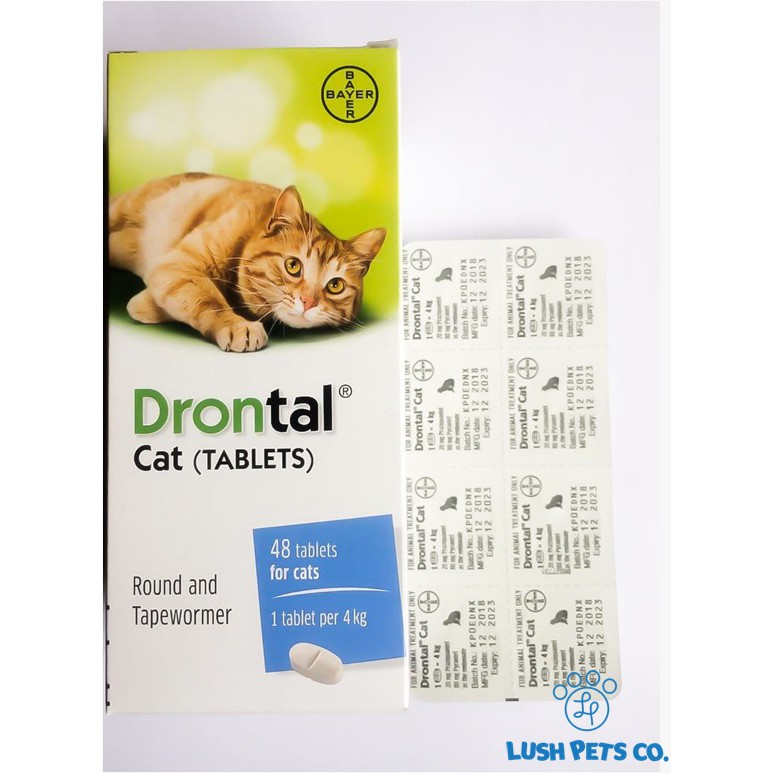 Jual Drontal Anthelmintic For Cat Per Tablet Indonesia Shopee Indonesia