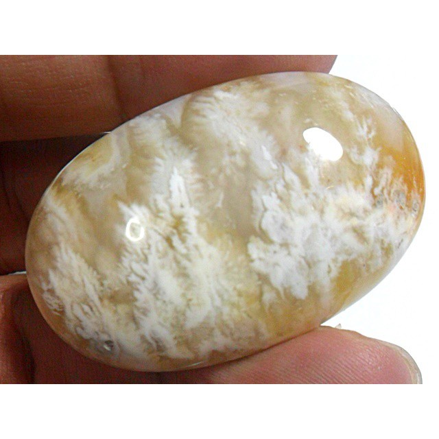 AG299 Oval Cabochon 43X28mm 83.6ct Natural Picture Agate White Orange Exotic Flower Cluster