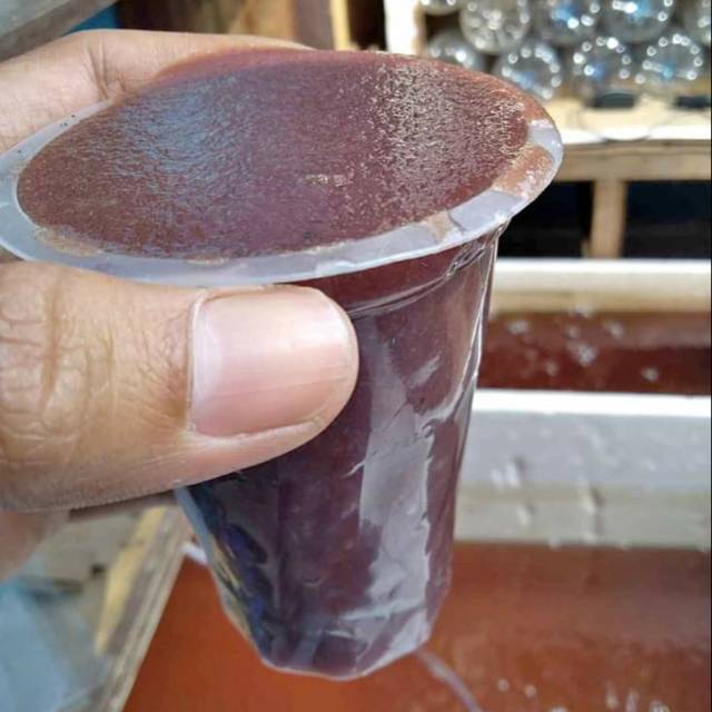 Kutu Air Kutir Takeran Gelas Aqua 220ml Fresh Promo Baca Deskripsi