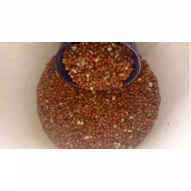 

Kacang tanah kulit 500gram