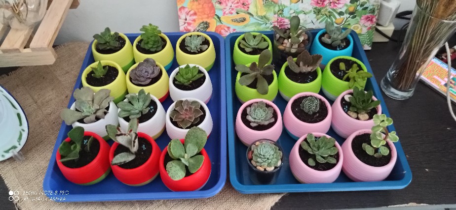 Pupuk Npk Mutiara 16 16 16 Repacking Kemasan Hemat - 80 Gram